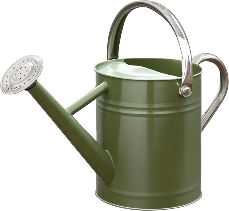 yourjoy Metal Watering Can, One Gallon Watering Cans Stainless Steel for Outdoor Indoor Garden Plants Watering (Emerald Green) - Image 1